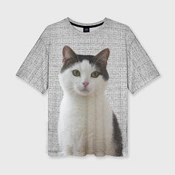 Женская футболка оверсайз Задумчивый котик