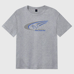 Футболка оверсайз женская Subaru world rally team, цвет: меланж