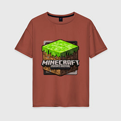 Футболка оверсайз женская Minecraft: Pocket Edition, цвет: кирпичный