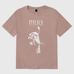 Футболка оверсайз женская STALKER: Shadow of Chernobyl, цвет: пыльно-розовый