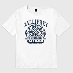 Футболка оверсайз женская Доктор Кто, Галлифрей, цвет: белый