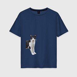 Женская футболка оверсайз Смотрящая кошка