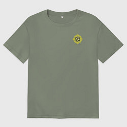 Футболка оверсайз женская Молвинец славяне, цвет: авокадо