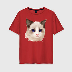 Женская футболка оверсайз Хмурый кот