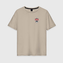 Женская футболка оверсайз ФК ХИМКИ большой логотип на спине