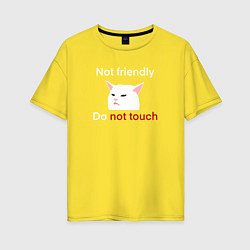 Женская футболка оверсайз Not friendly, do not touch, текст с мемным котом