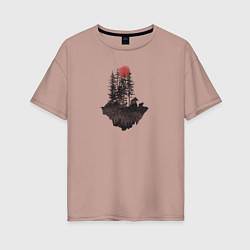 Женская футболка оверсайз Медвежий остров