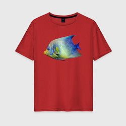 Женская футболка оверсайз Тропическая разноцветная рыба
