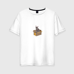 Женская футболка оверсайз Кошка в коробке