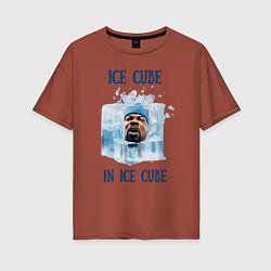 Футболка оверсайз женская Ice Cube in ice cube, цвет: кирпичный