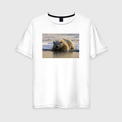 Женская футболка оверсайз Медведь на севере