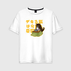 Женская футболка оверсайз Саку и Юкичи - Кот мастер на все лапки