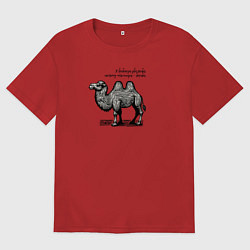 Женская футболка оверсайз У верблюда два горба