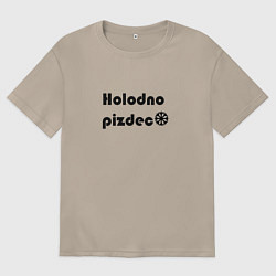 Женская футболка оверсайз Холодно пи*дец чёрная снежинка