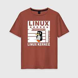 Футболка оверсайз женская Пингвин программист системы линукс, цвет: кирпичный