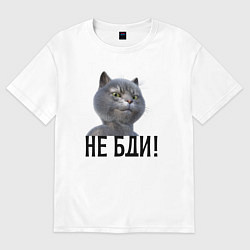 Футболка оверсайз женская Высокомерный кот не бди, цвет: белый