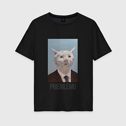 Женская футболка оверсайз Приемлемо - кот мем в живописи