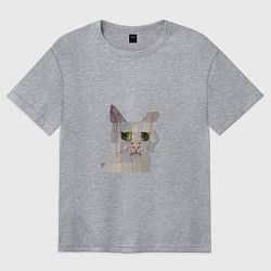 Женская футболка оверсайз Pixel cat