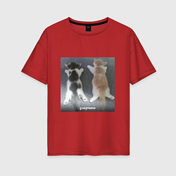Женская футболка оверсайз Мемные коты умерчики