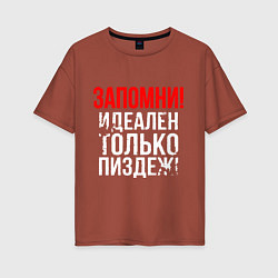 Футболка оверсайз женская Запомни - идеально только вранье, цвет: кирпичный