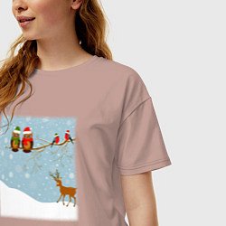 Футболка оверсайз женская Новогодние птицы на ветке, цвет: пыльно-розовый — фото 2