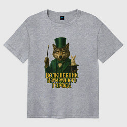 Футболка оверсайз женская Волшебник Изумрудного города, цвет: меланж