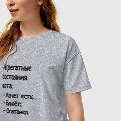 Футболка оверсайз женская Агрегатные состояния кота, цвет: меланж — фото 2