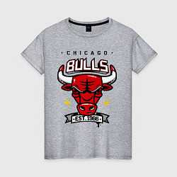 Футболка хлопковая женская Chicago Bulls est. 1966, цвет: меланж