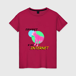 Женская футболка Привет я из internet