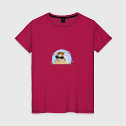 Женская футболка Кот в очках мем