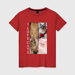 Женская футболка I LOVE CATS Я ЛЮБЛЮ КОШЕК