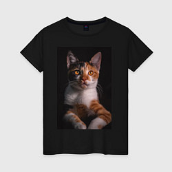 Женская футболка Умный взгляд кота