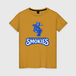 Женская футболка Tennessee smokies - baseball team