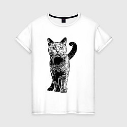 Женская футболка Красивый котик