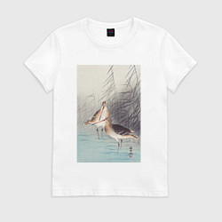 Женская футболка Two Bar-tailed Godwits