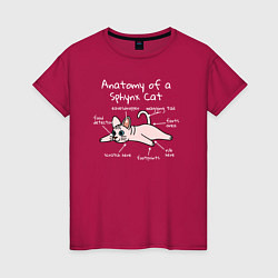 Женская футболка Анатомия кошки сфинкса