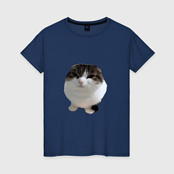 Женская футболка Wawa cat Oh The Misery Cat