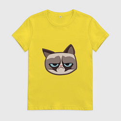 Женская футболка Мем недовольный кот