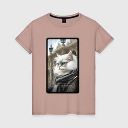 Женская футболка Санкт-Петербург котик