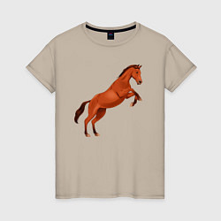 Женская футболка Англо-арабская лошадь