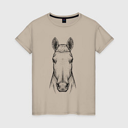 Женская футболка Голова лошади анфас