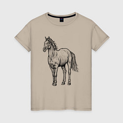 Женская футболка Лошадь стоит