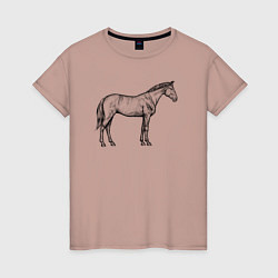 Женская футболка Лошадь стоит в профиль