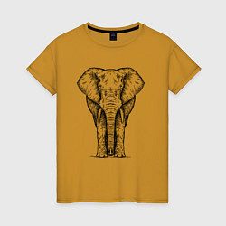 Женская футболка Слон анфас