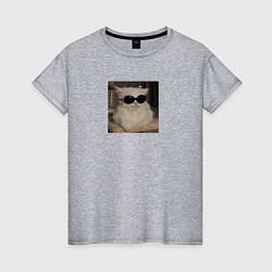 Женская футболка Кот мем в крутых очках