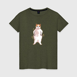 Женская футболка Толстый кот танцует