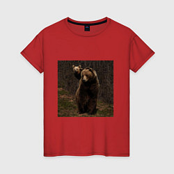 Женская футболка Медведи гуляют по лесу