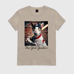 Женская футболка Bull terrier - New York yankees baseball team