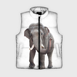 Женский жилет Большой слон