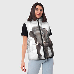 Женский жилет Большой слон, цвет: 3D-светло-серый — фото 2